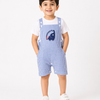 The Blue Gingham Dungaree Set